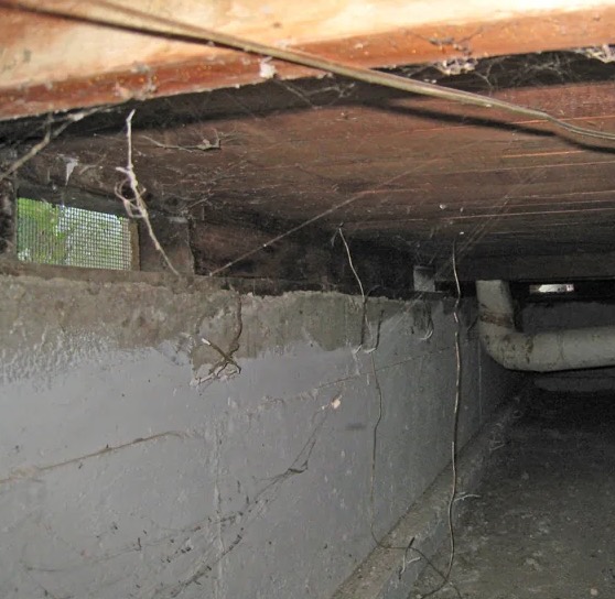 Crawl Space Water Extraction in Cornelia, GA
