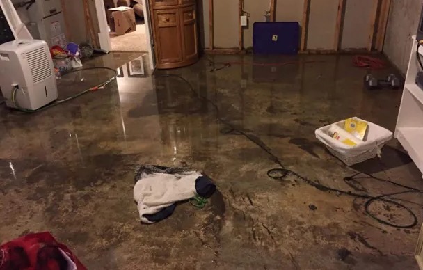 Same Day Water Removal in Commerce, GA