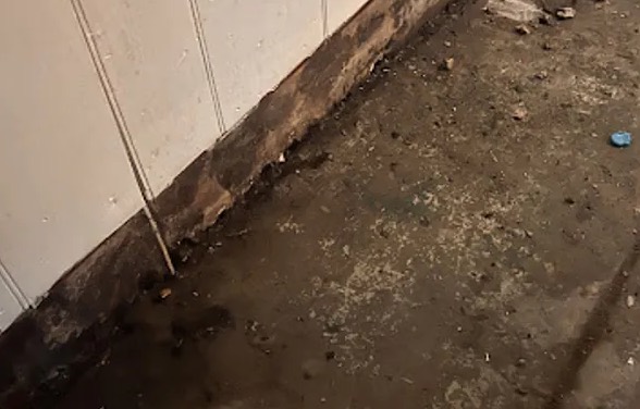 Toilet Overflow Cleanup in Alpharetta, GA