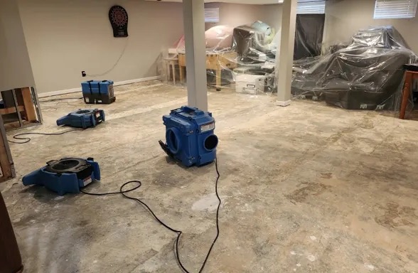 Dehumidification Services in Cornelia, GA